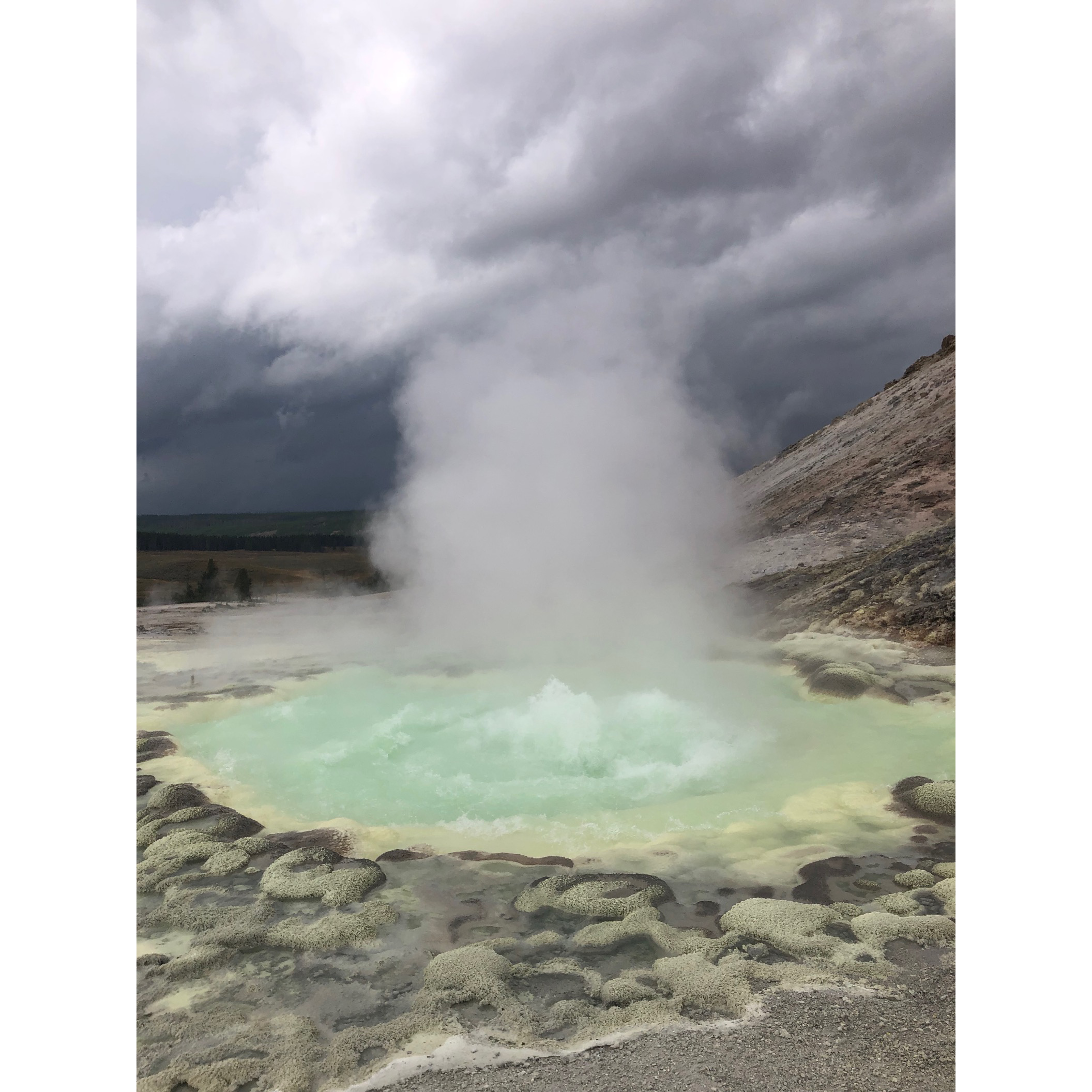 YELLOWSTONE