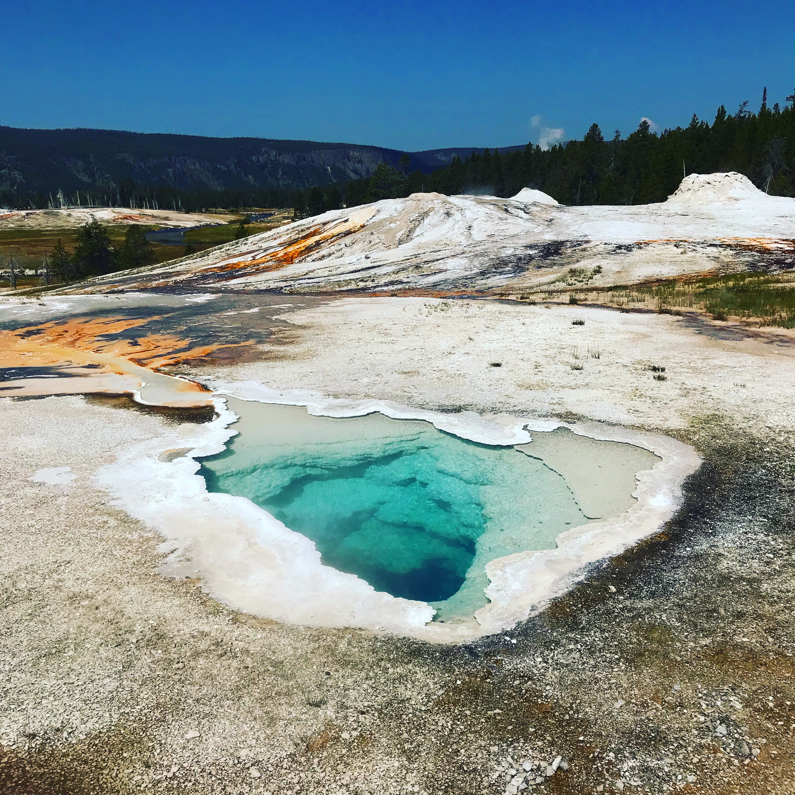 YELLOWSTONE